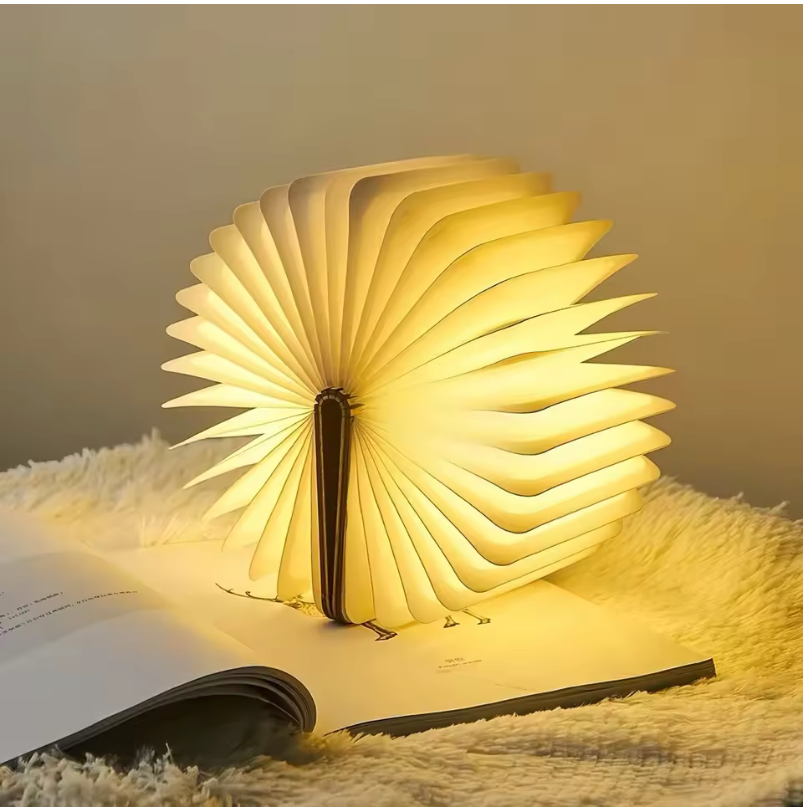 Buchlampe