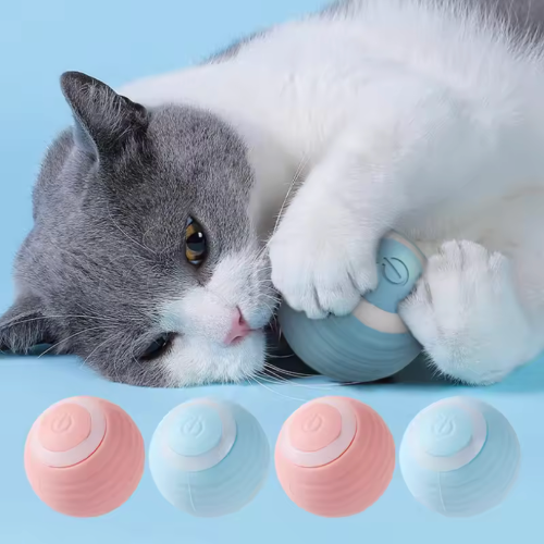 Catball