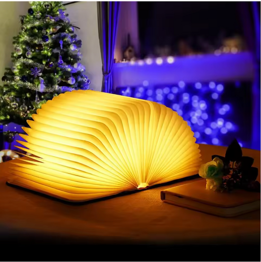Buchlampe