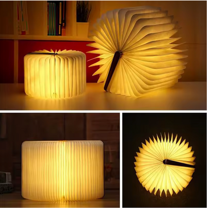 Buchlampe